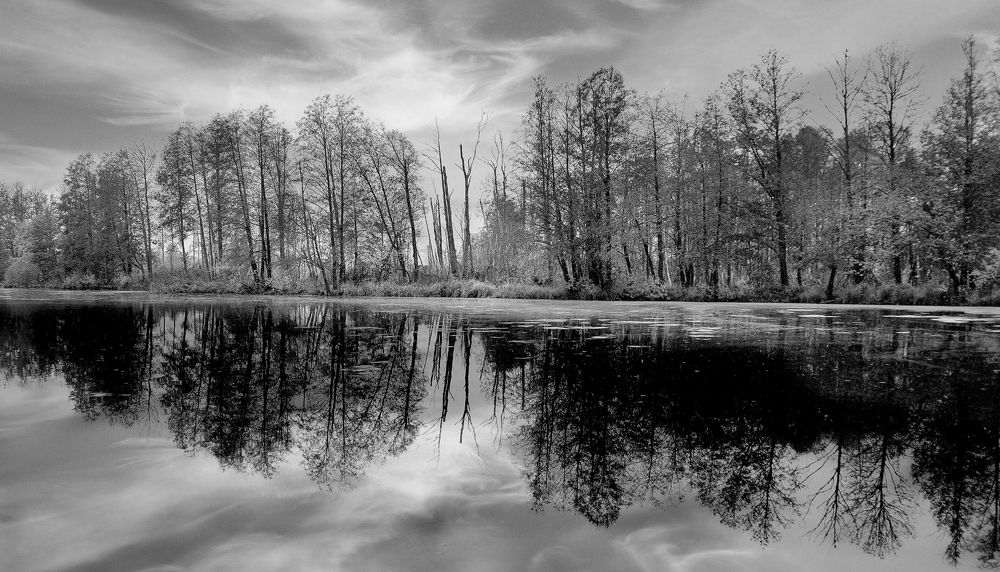 Photograph by Людмила ЧЕРНИКОВА