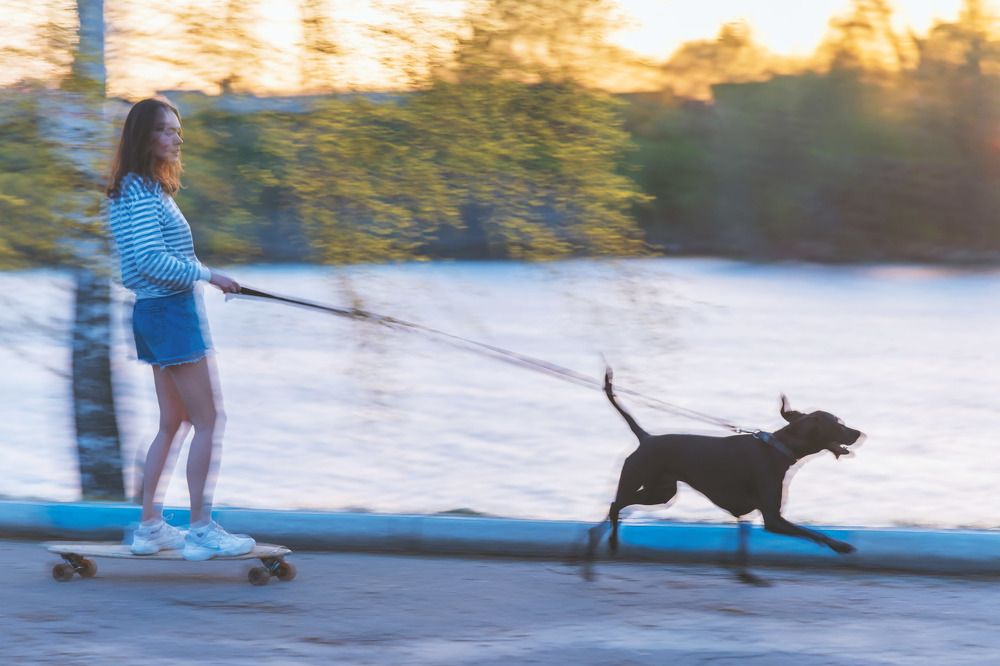 Photograph by Станислав Солнцев