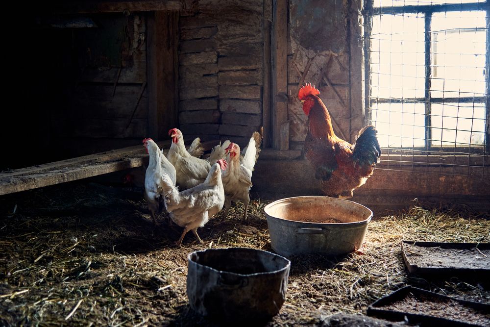 Photograph by Евгения Гловацкая