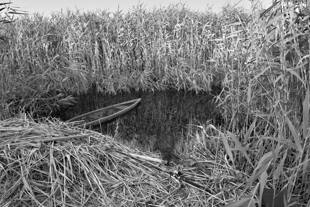 Photograph by Владислав Леонтьев