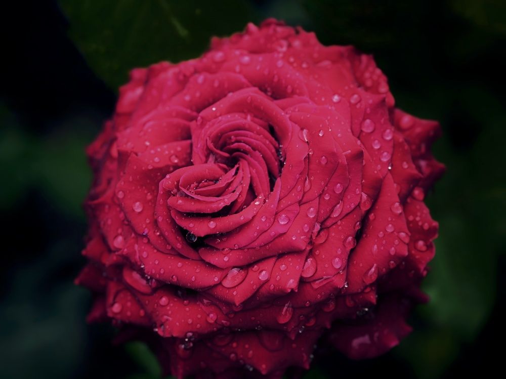 Photograph by Anastasia Uraeva