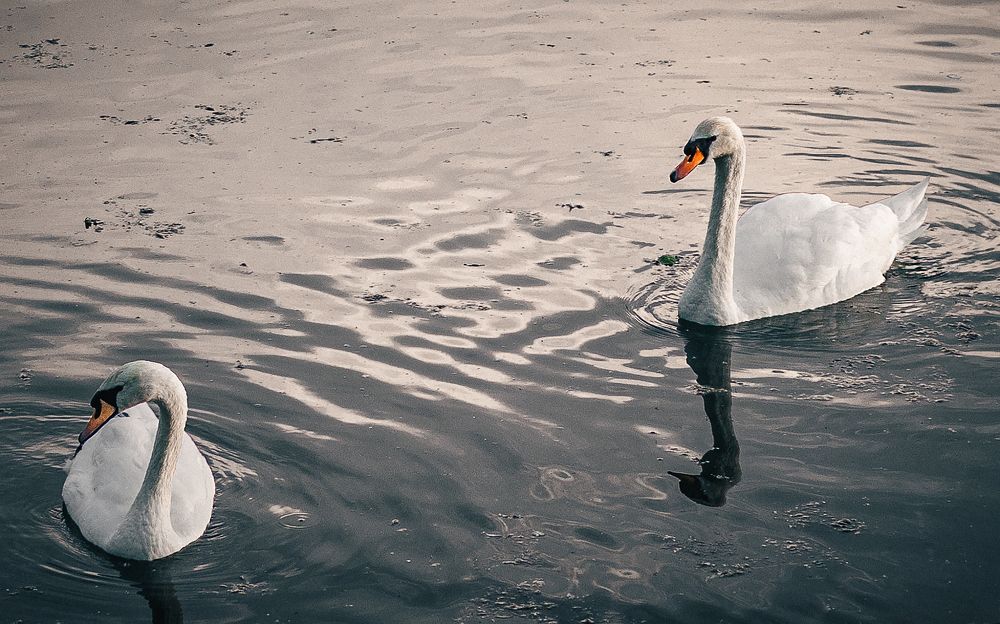 Знакомство...