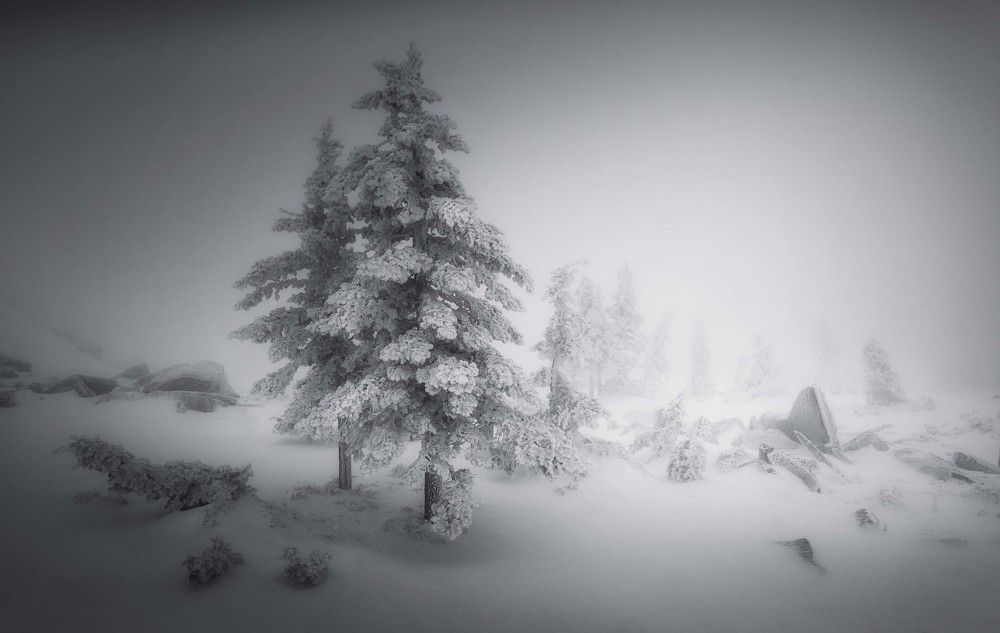 Photograph by Бирюкова Татьяна