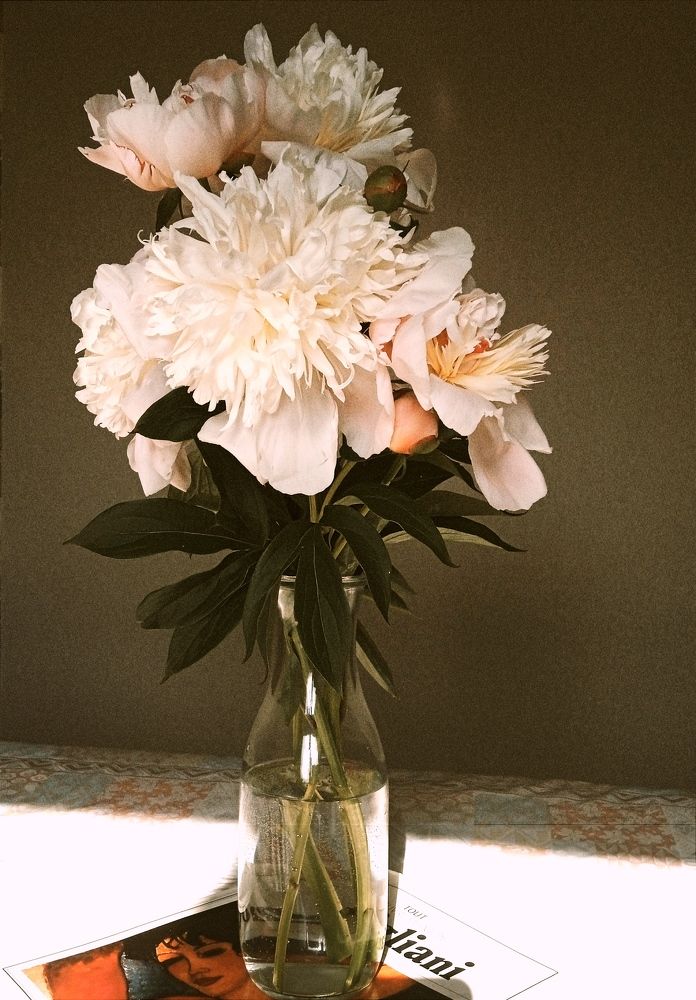 Photograph by Марина Морозова