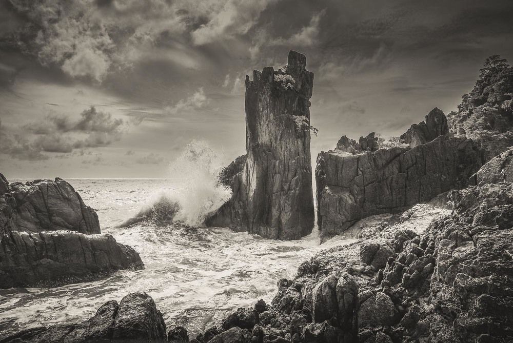 Фотография автора Татьяна Добровольская