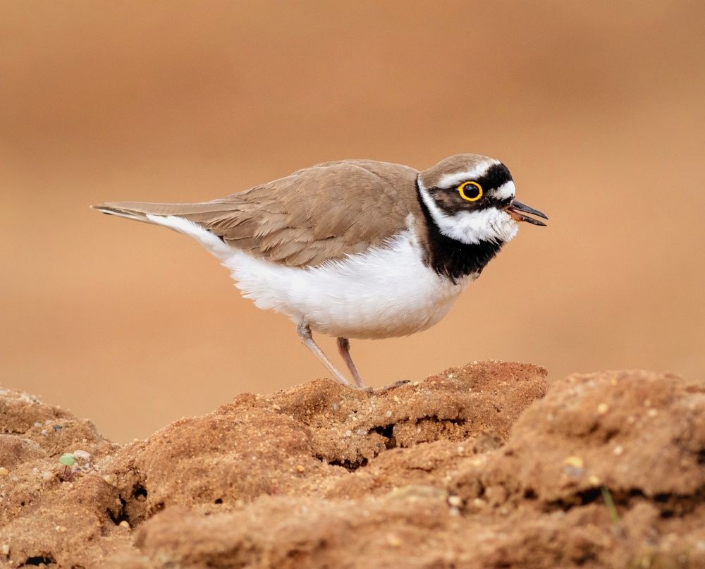 Photograph by Павел Краснослободцев