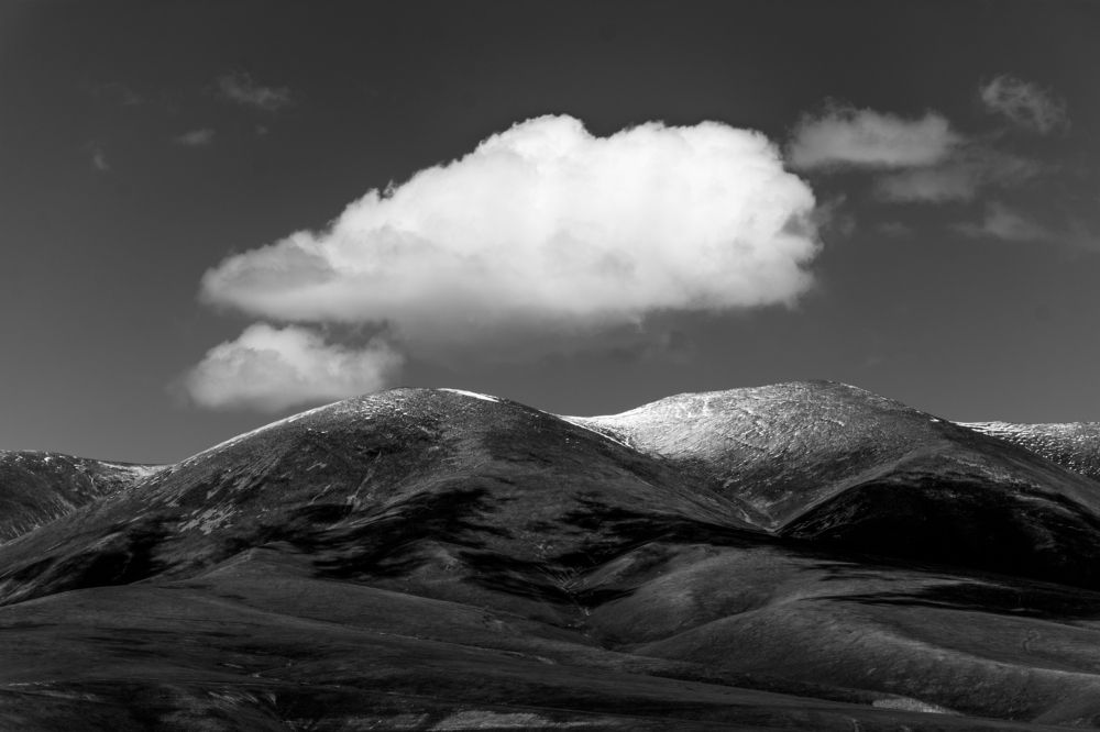 Photograph by Юлия Подлеснова