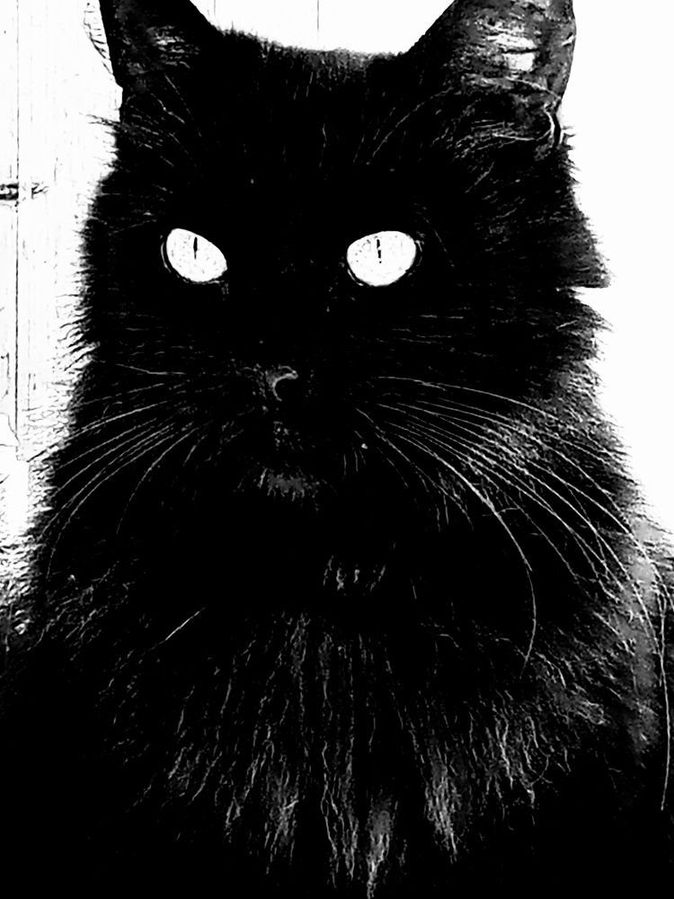 Photograph by Александр Alexander Zheleztsov