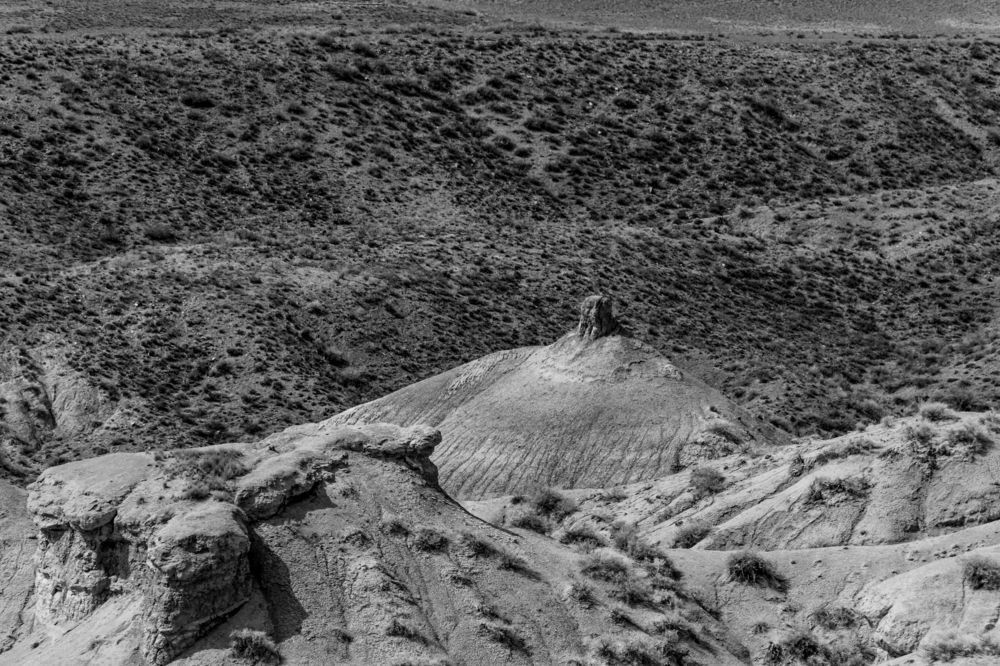 Photograph by Юлия Подлеснова