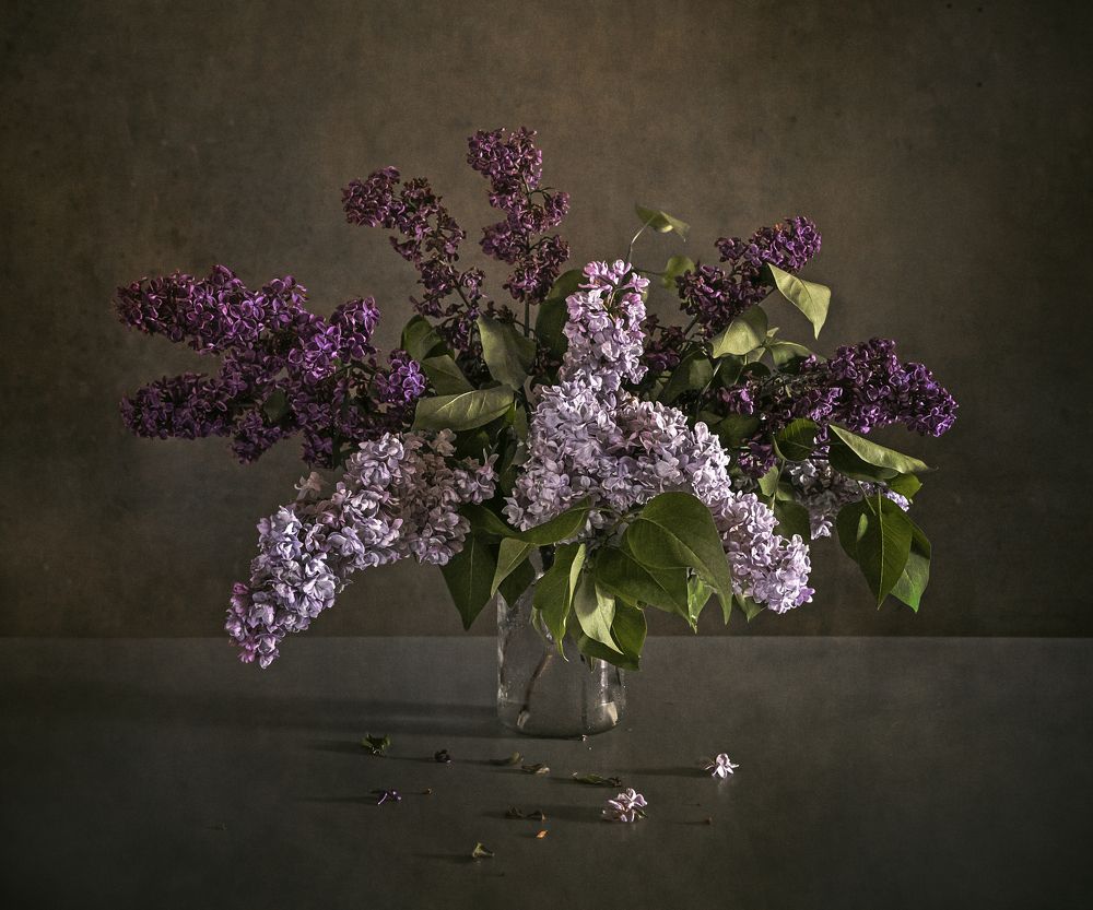 Photograph by Горбунова Юля