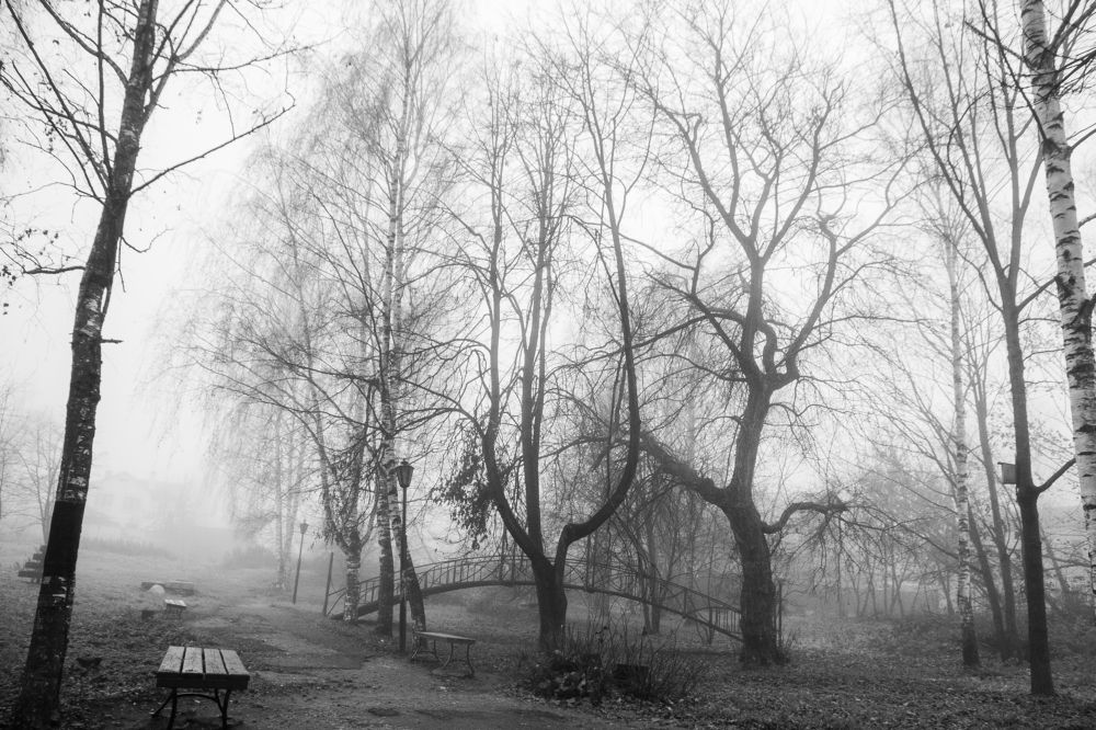 Photograph by Евгений Григорьев