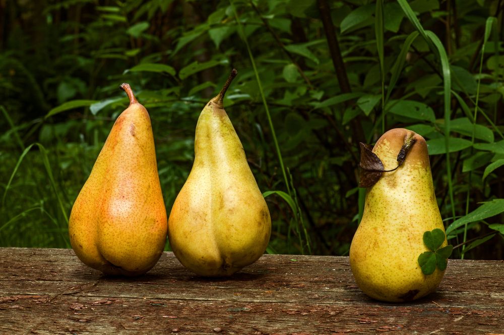 Photograph by Оксана Макарова