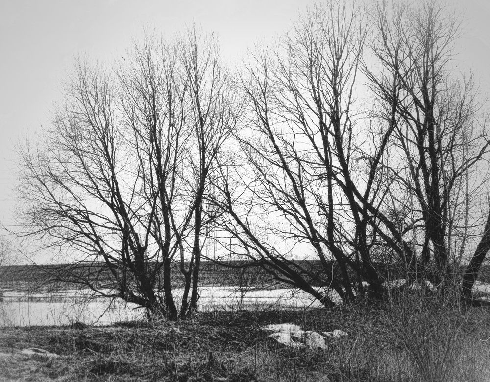 Photograph by Александр Малютин