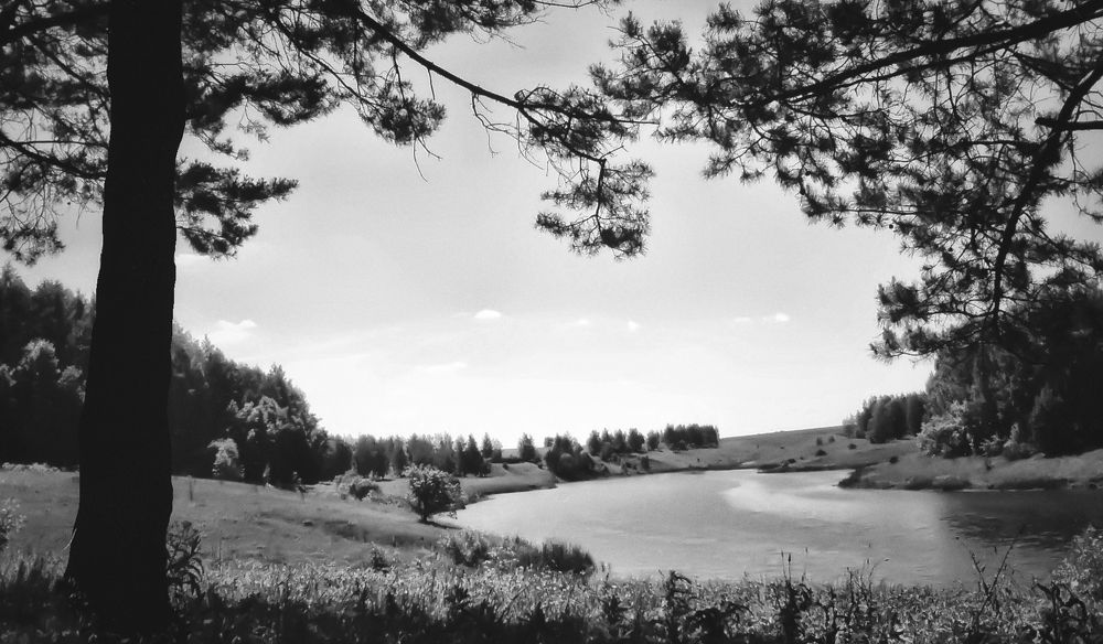 Photograph by Александр Малютин