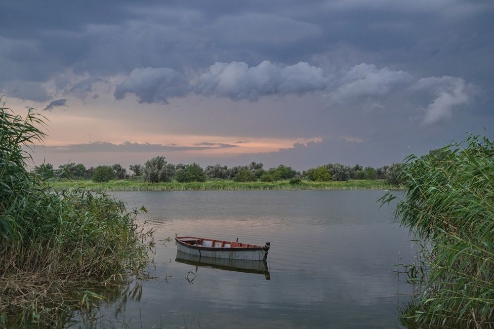 Photograph by Елена Чаплина