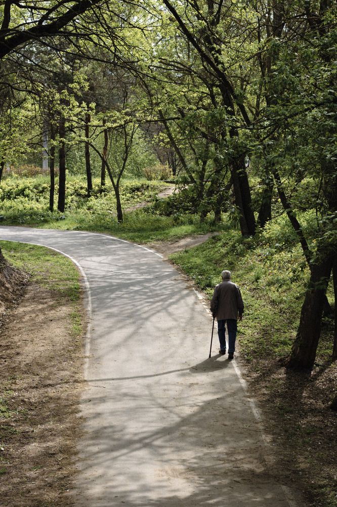 Утренняя прогулка