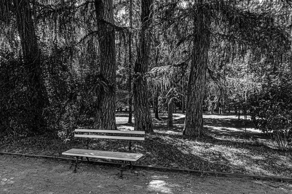 Photograph by Vladimir  Komarov