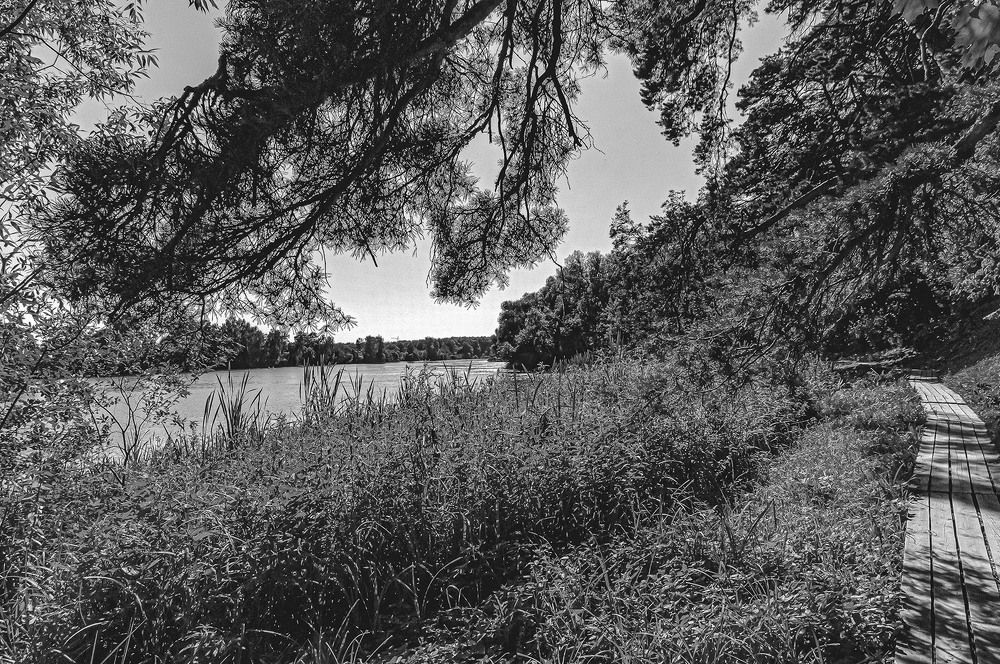 Photograph by Vladimir  Komarov