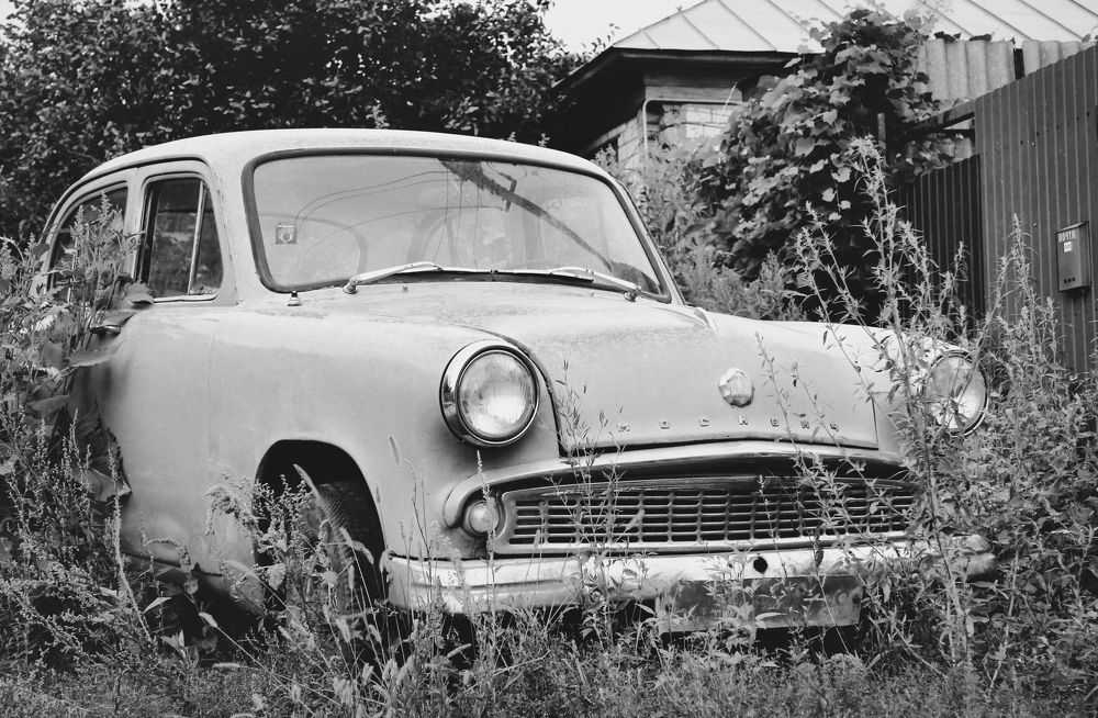 Photograph by Александр Малютин