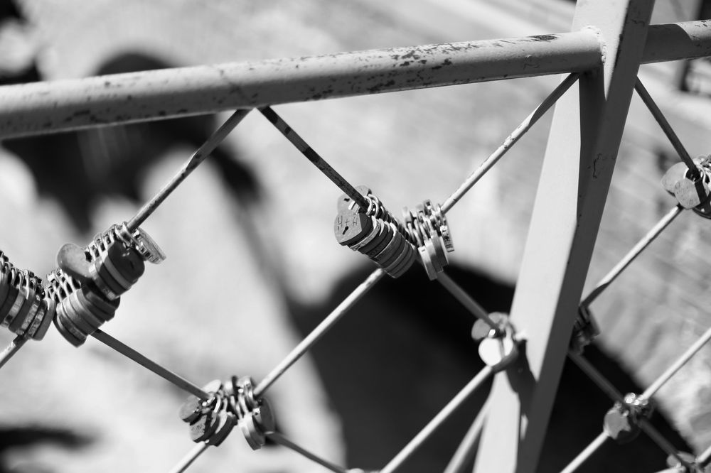 Фотография автора Larisa Tabachnik