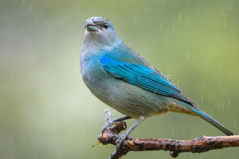 Photograph by Eduardo Bom