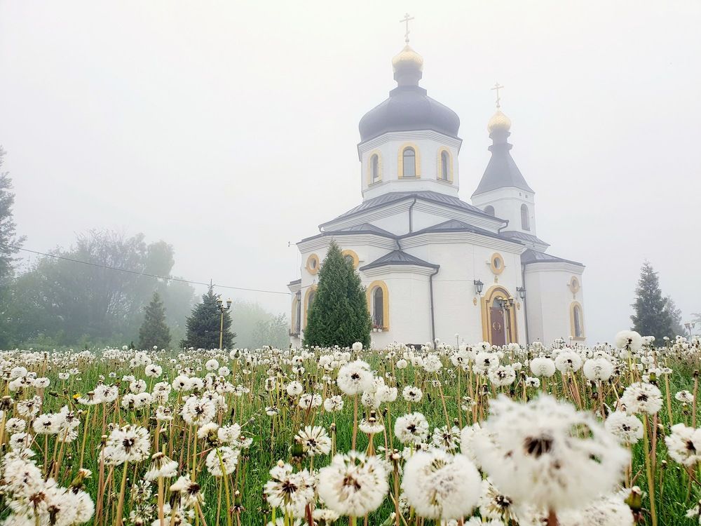 Церковь в одуванчиках