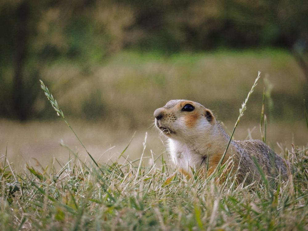 Photograph by Дарья Шпилёва