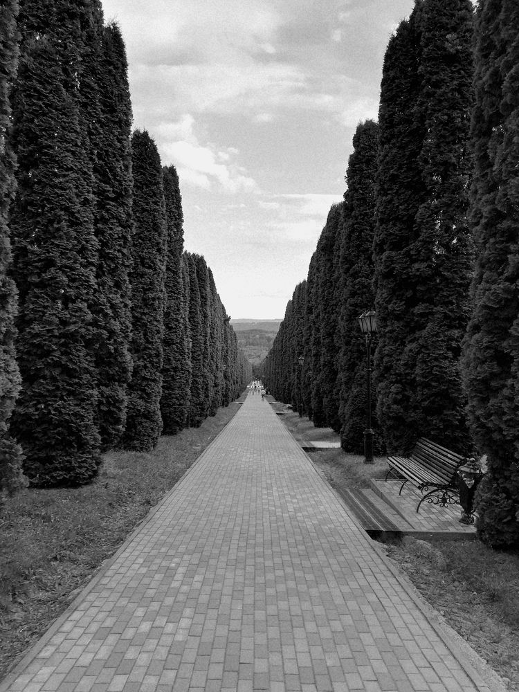 Photograph by Анастасия Якименко