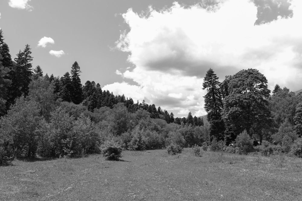 Photograph by Анастасия Якименко