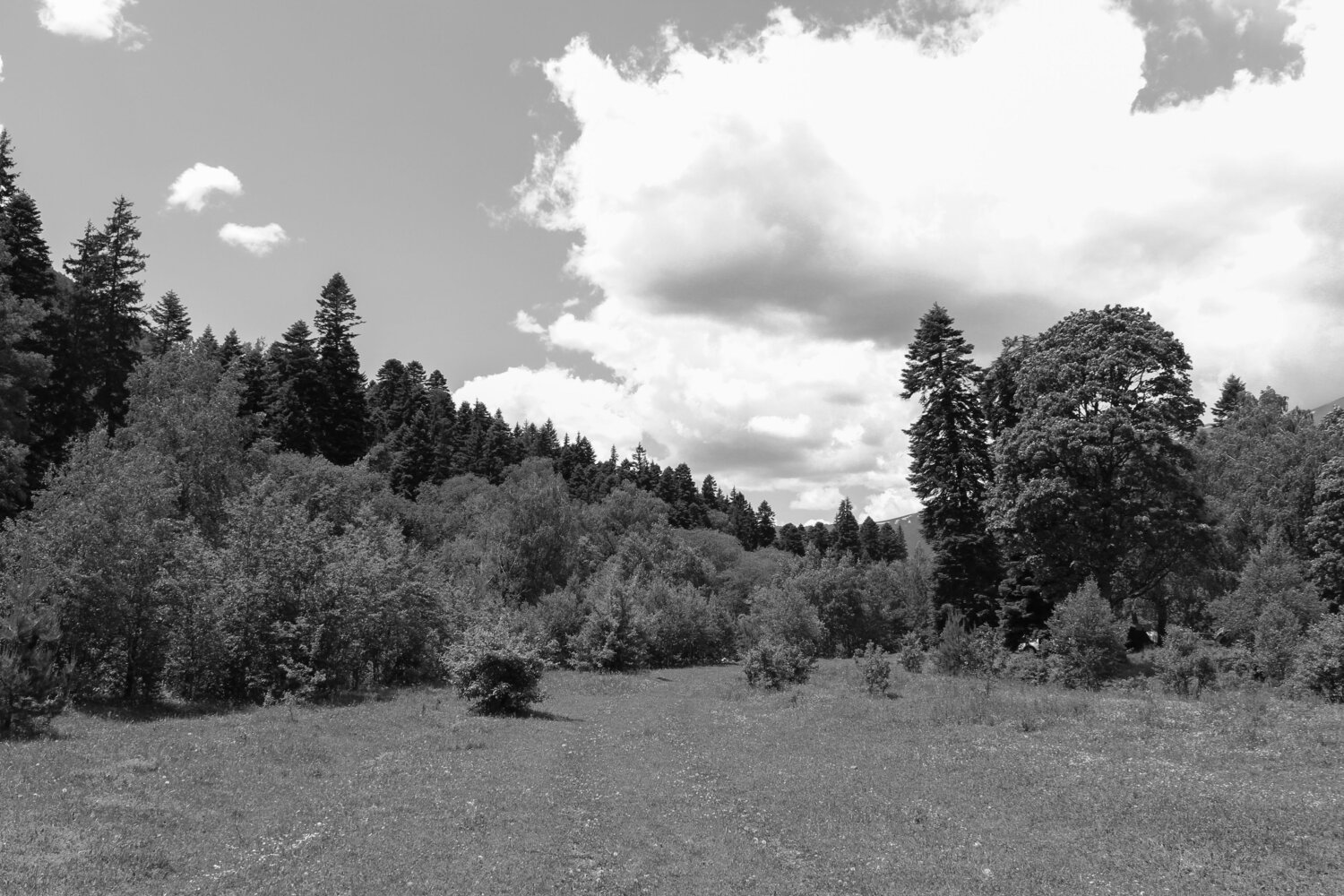 Photo #7791821