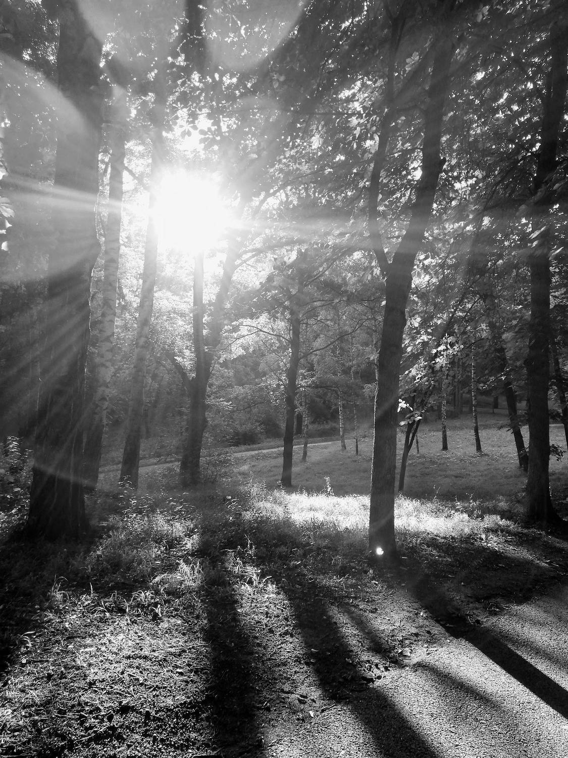 Photo #7791825