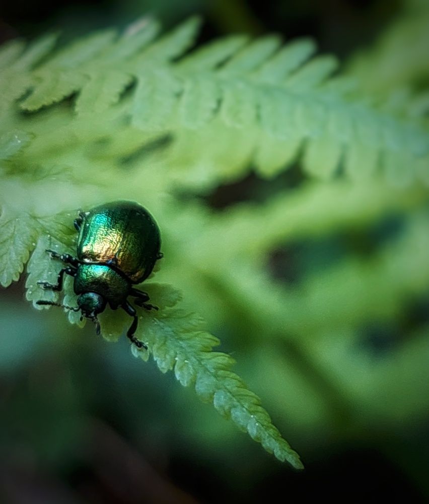Photograph by Екатерина Баклыкова