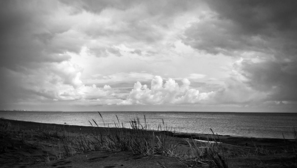 Photograph by Светлана Ващенко