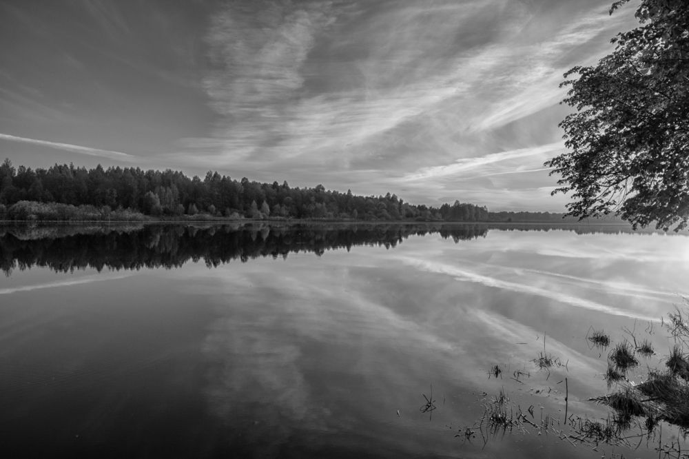 Photograph by Светлана Ващенко