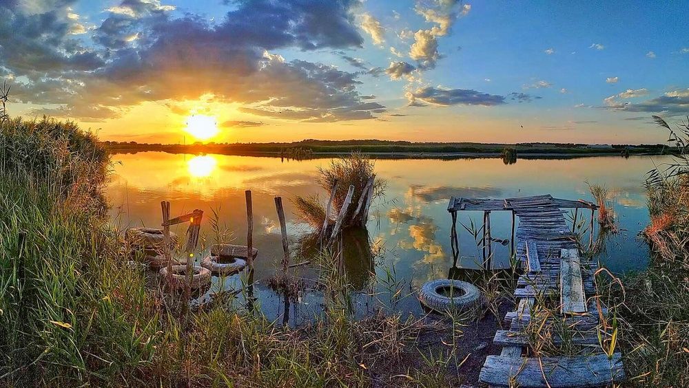 Photograph by Елена Чаплина