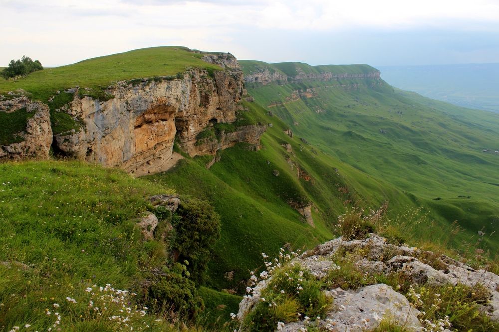 Photograph by Сергей Смоленцев