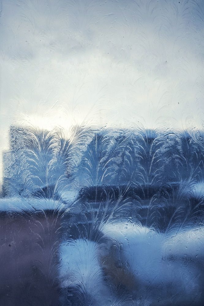Photo #7792000