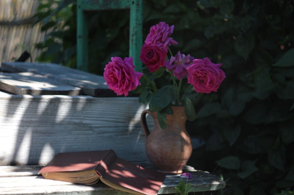 Photograph by Татьяна Аршинова