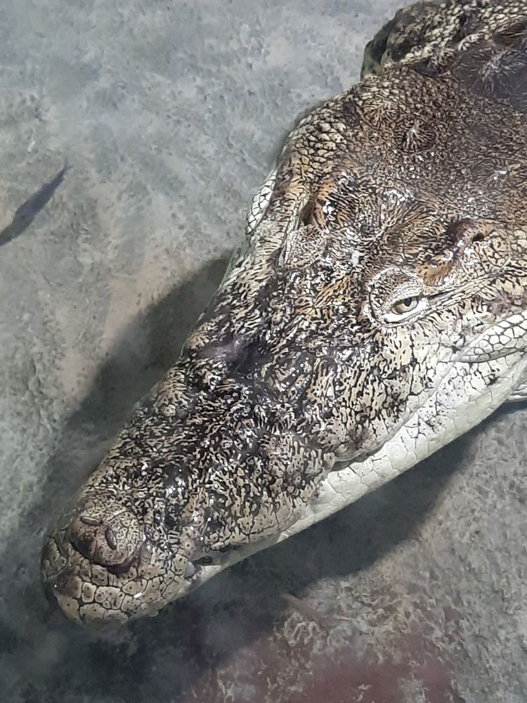 Photograph by Elena Goreva