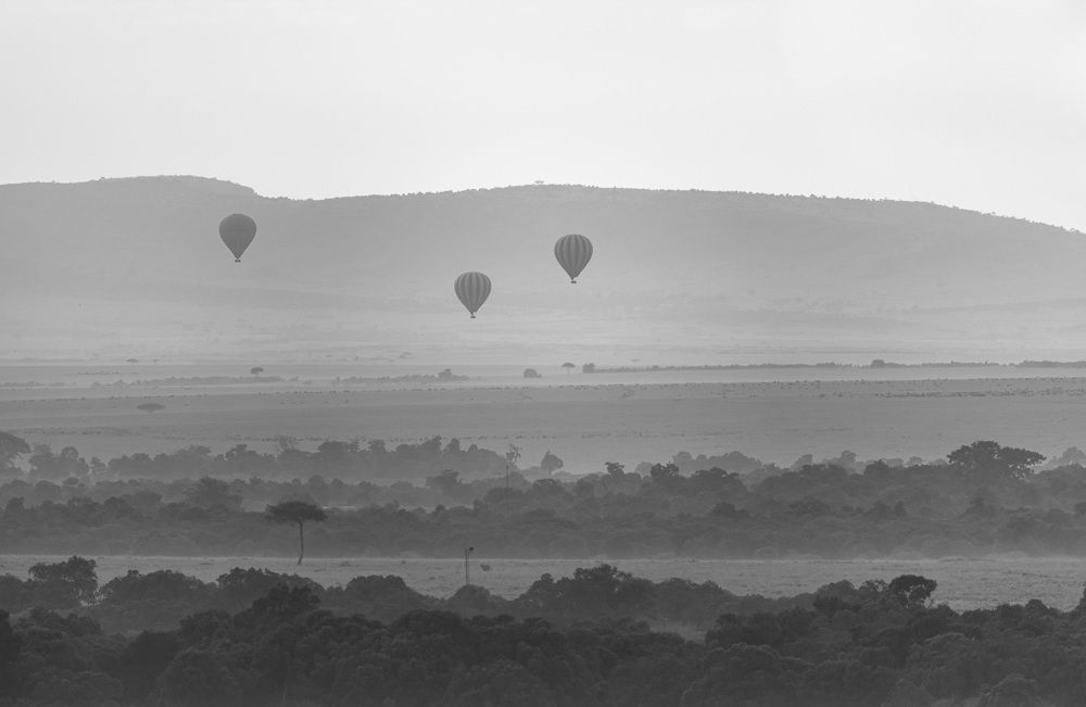 Photograph by Ranjith Kumar