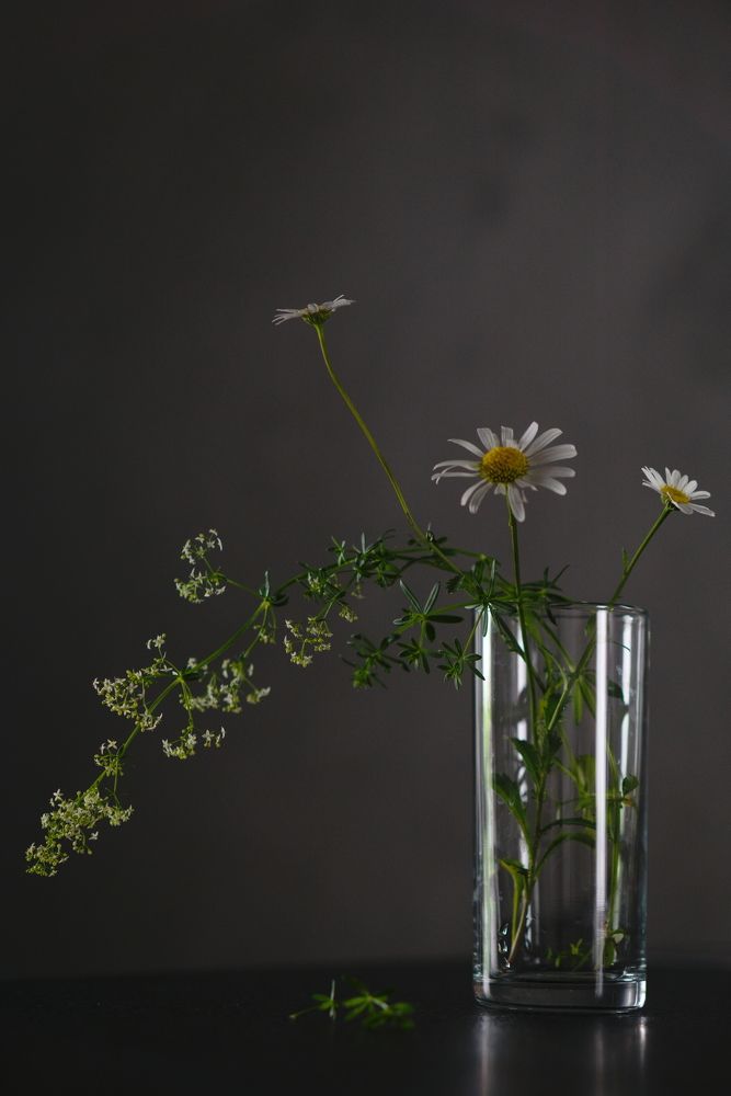 Photograph by Viktoria Vavilkina