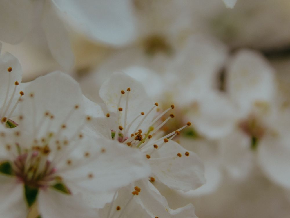 Photograph by Арина