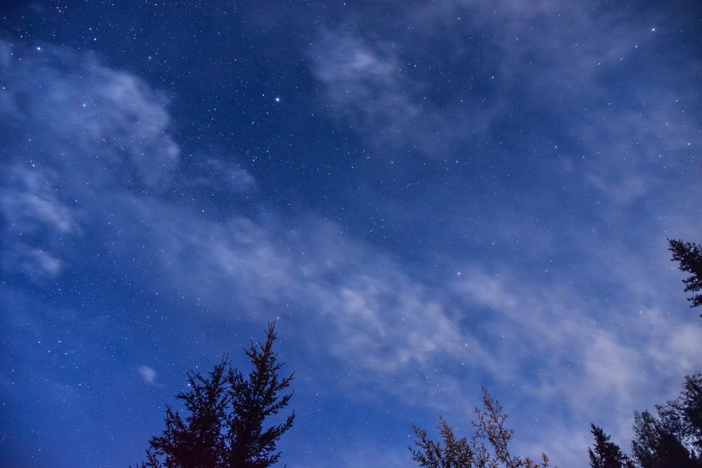 Photograph by Константин Пелых