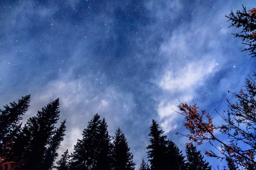 Photograph by Константин Пелых