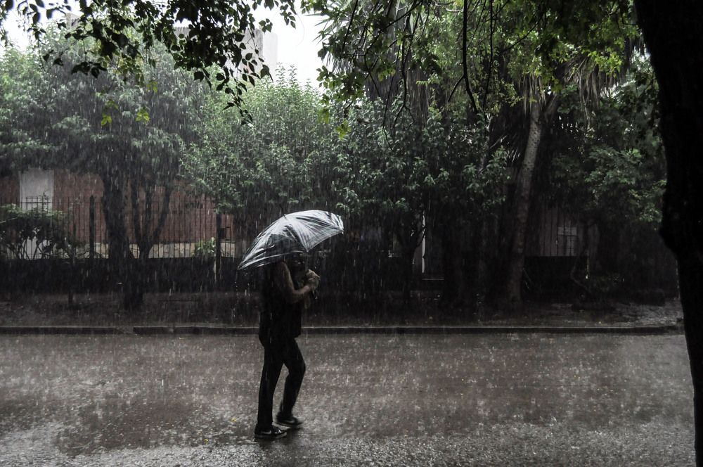 Photograph by Ricardo Kimmich