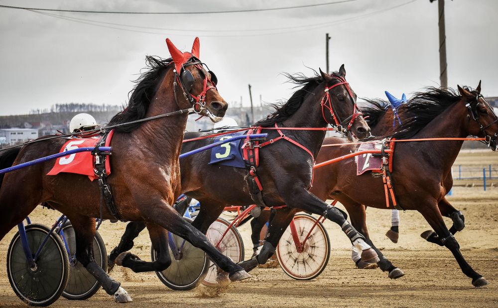 Photograph by Кристина Горковская