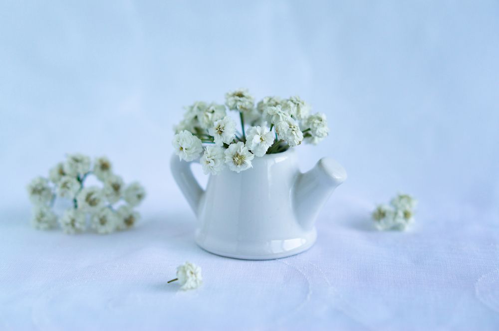 Photograph by Светлана Нестерова