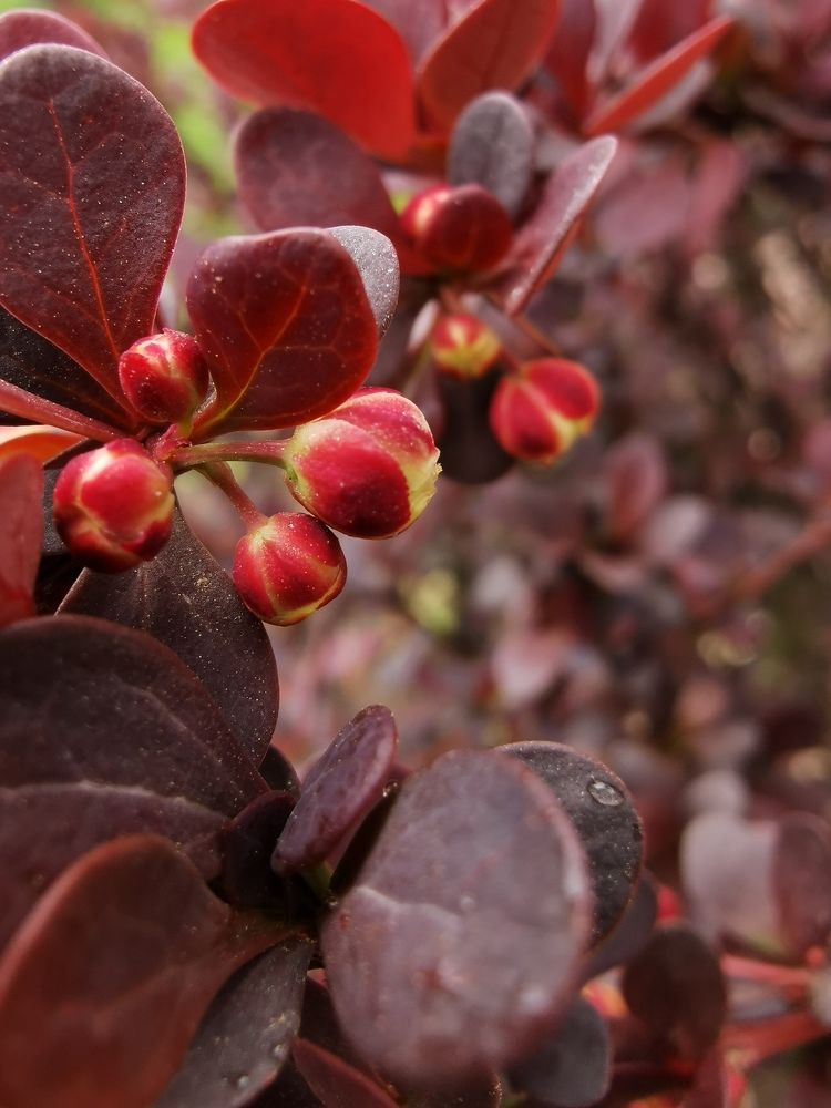 Photograph by Елена Мельник