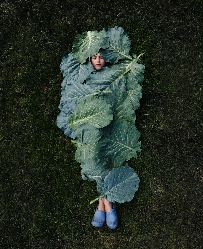 Born in Cabbage