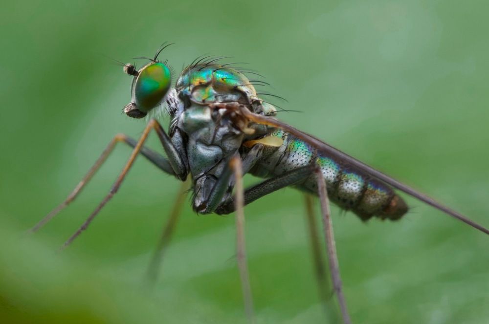 Photograph by José Granizo